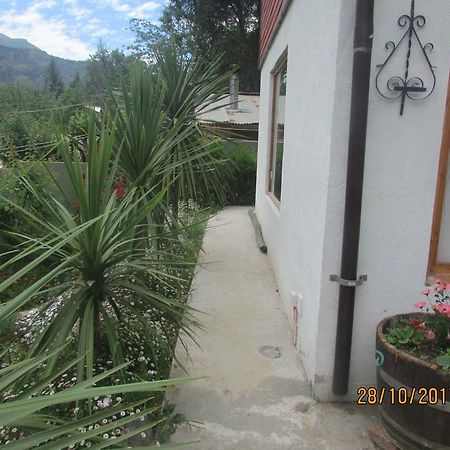 Cabana Colibri San Alfonso Dış mekan fotoğraf